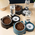 "A fluffy orange cat, hungry, looking at an empty bowl, then happily eating from an automatic gravity feeder"