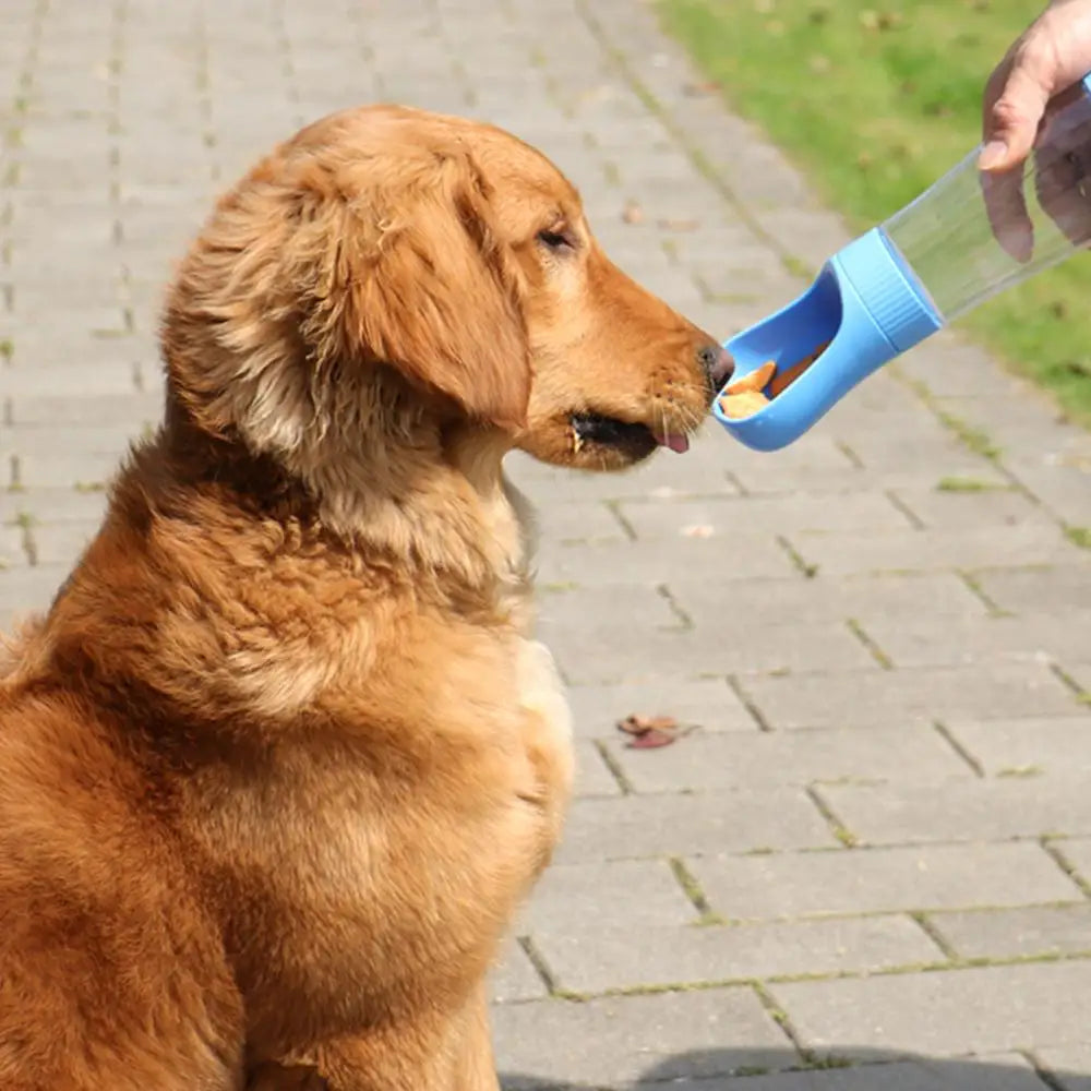 PetroNexus™ Portable Dog Water Bottle & Food Container — 2-in-1 Travel Bottle for Walking, Leak-Proof (Cats & Dogs)
