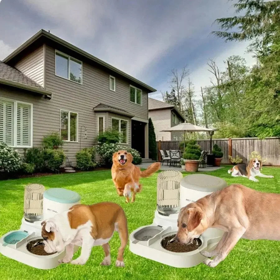 PetroNexus™ 2-in-1 Automatic Cat Feeder & Water Dispenser